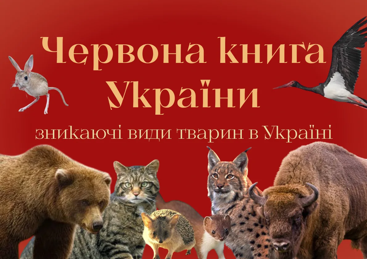 Зникаючі види тварин в Україні. Червона книга України